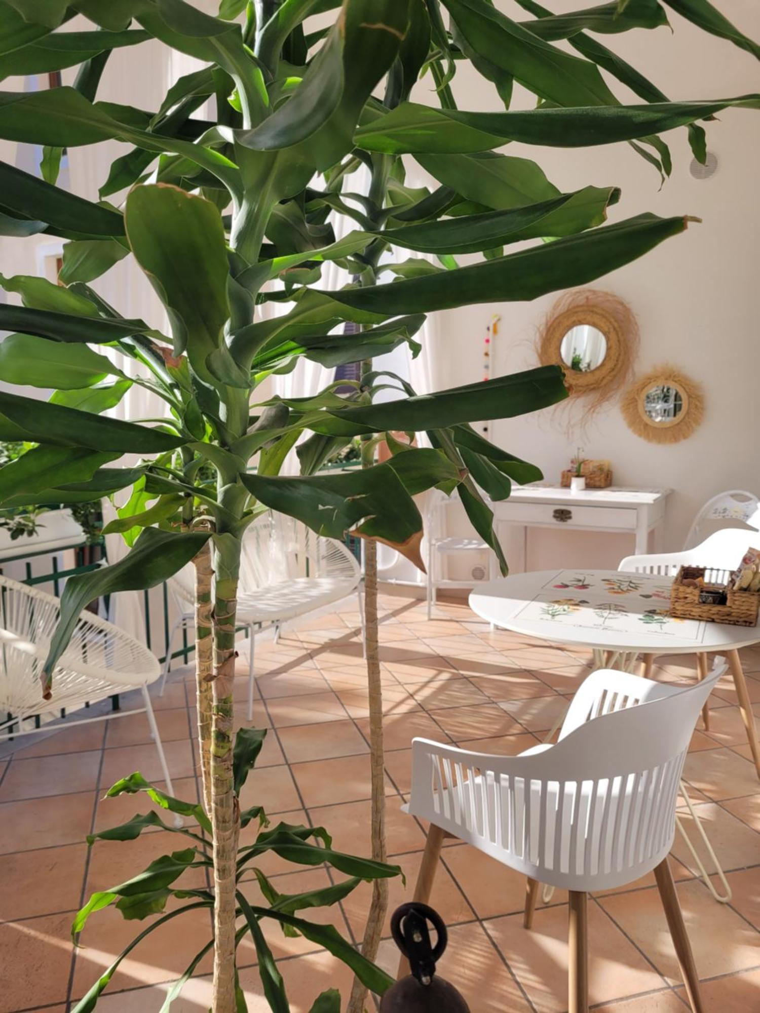 B&B Dal Nonno Riva del Garda Ngoại thất bức ảnh